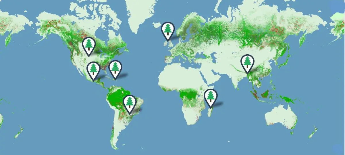 Forestry Map, PrintReleaf, NW Imaging Analysts